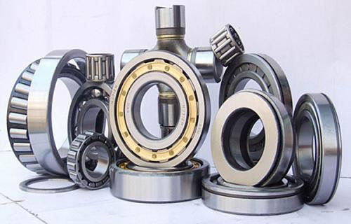 NF28/850 Qatar Bearings Cylindrical Roller Bearing 850x1030x106mm
