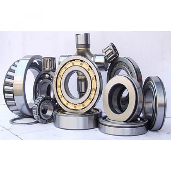 TRANS6115159 Rwanda Bearings Overall Eccentric Bearing For Reduction Gears #1 image